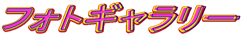 �t�H�g�M�������[